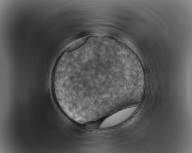 X0000088480803200706191405