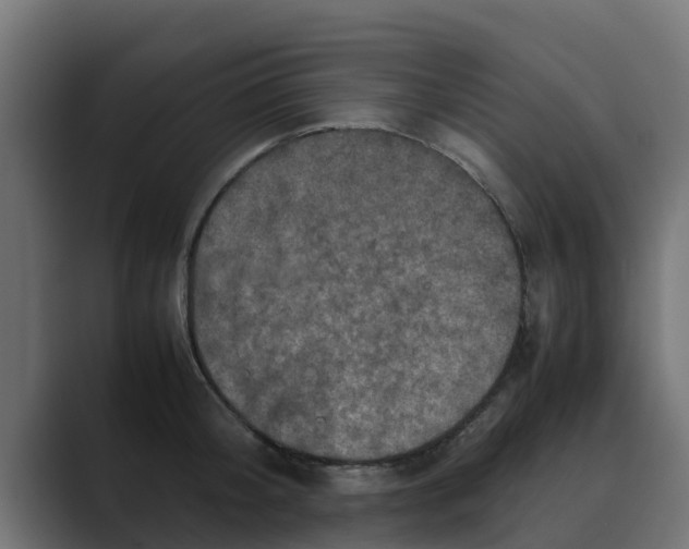 X0000088480804200706191405