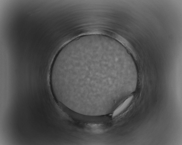 X0000088480805200706191405