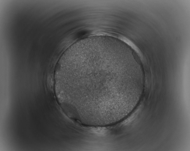 X0000088480809200706191405