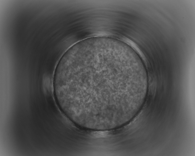 X0000088480810200706191405