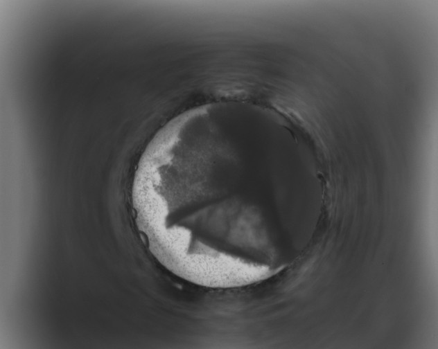 X0000088480817200706191405