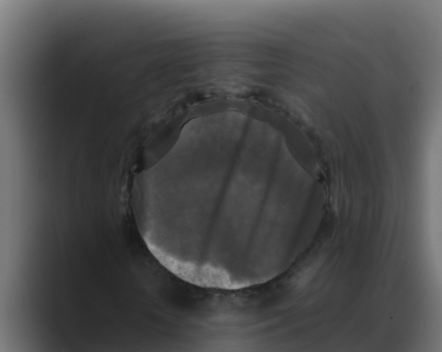 X0000088480818200706191405