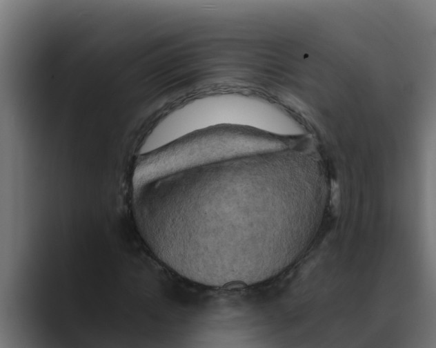 X0000088480822200706191405