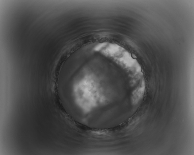 X0000088480823200706191405