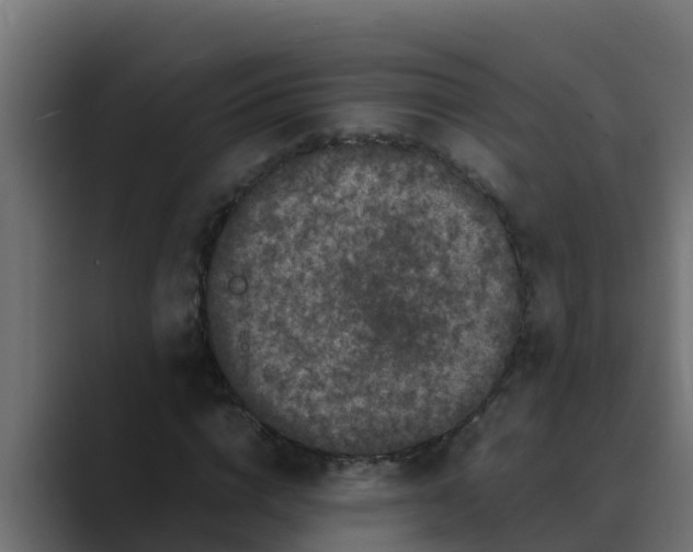 X0000088480824200706191405