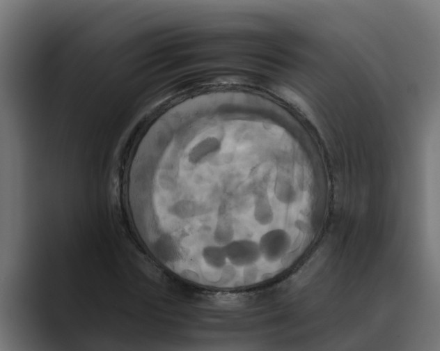 X0000088480827200706191405