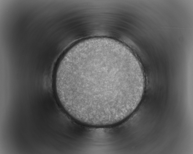 X0000088480828200706191405