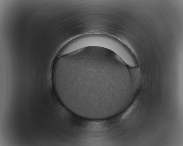 X0000088480830200706191405