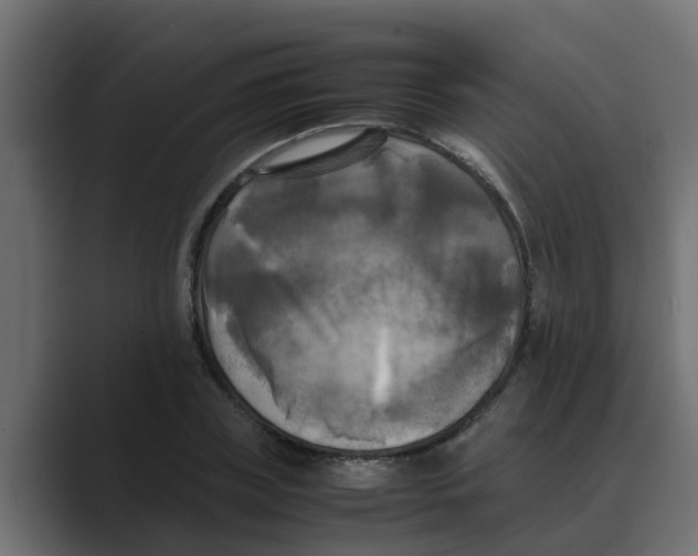 X0000088480835200706191405