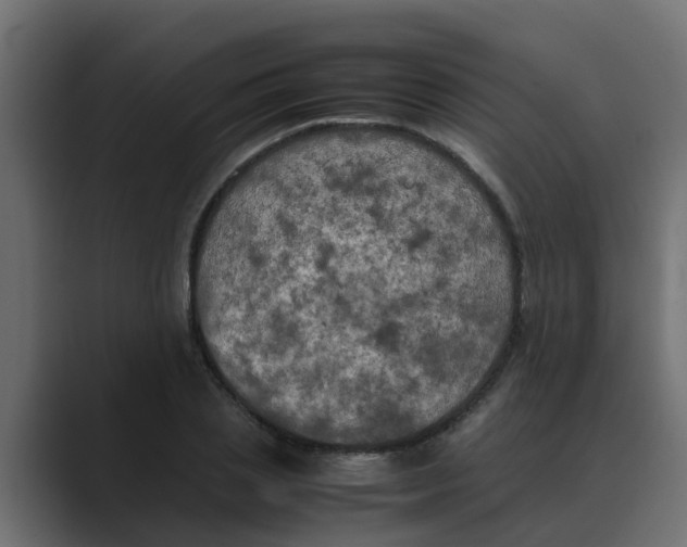 X0000088480837200706191405