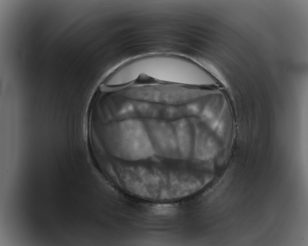 X0000088480839200706191405