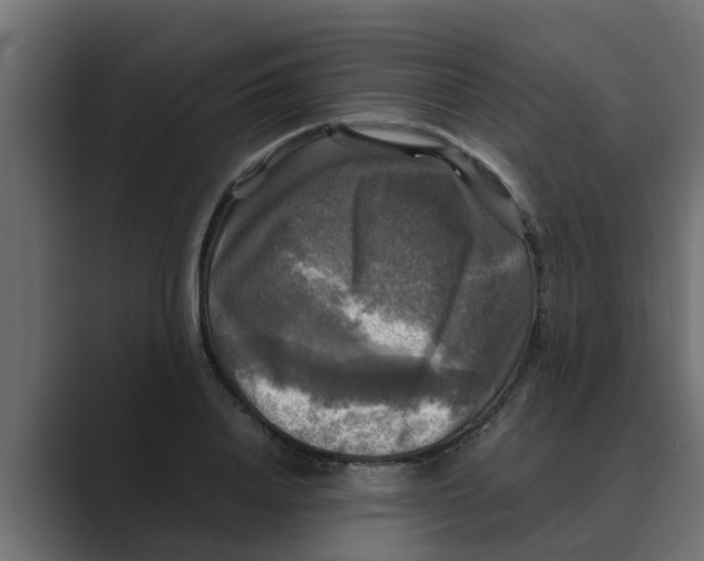 X0000088480840200706191405