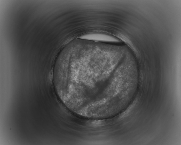 X0000088480841200706191405