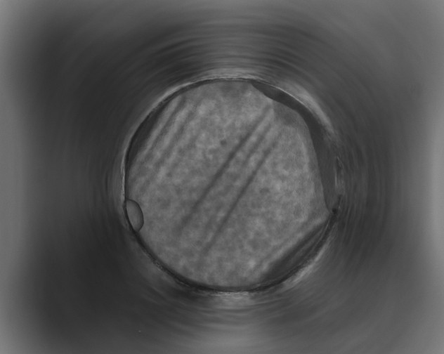 X0000088480844200706191405