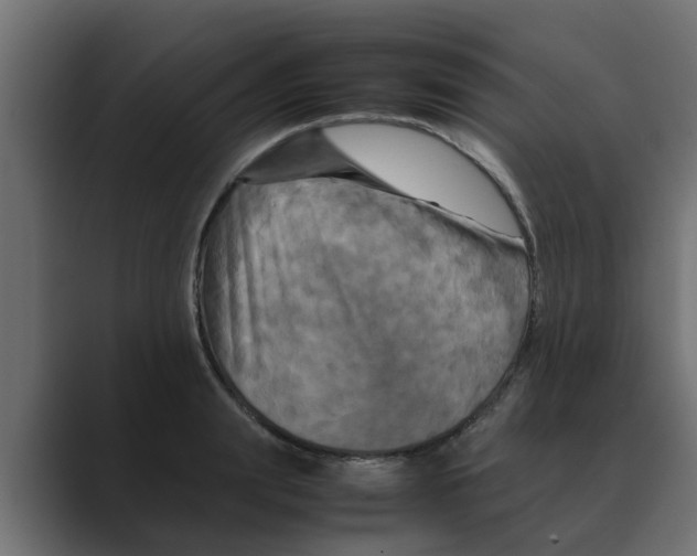 X0000088480847200706191405