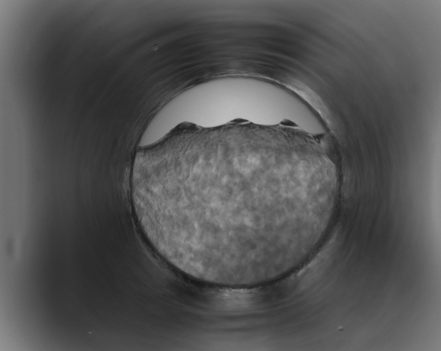 X0000088480849200706191405