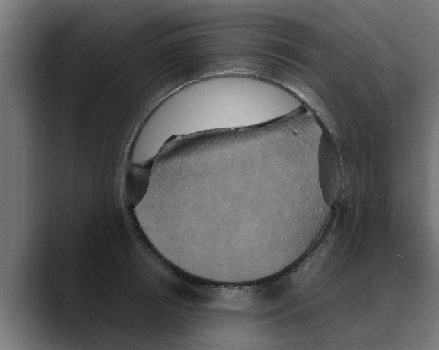 X0000088480850200706191405