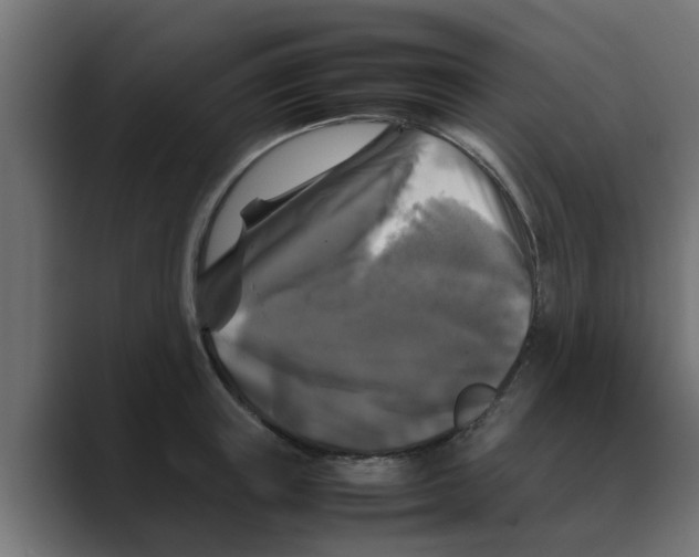 X0000088480851200706191405