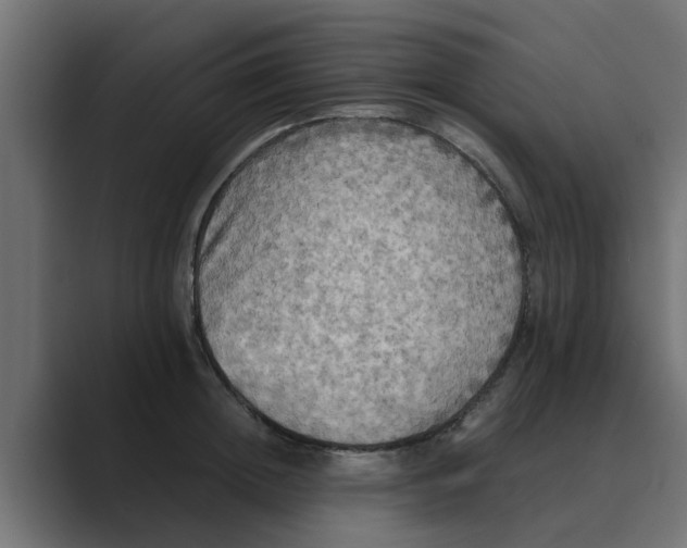 X0000088480852200706191405