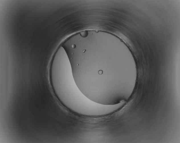 X0000088480854200706191405