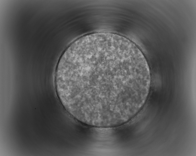 X0000088480856200706191405