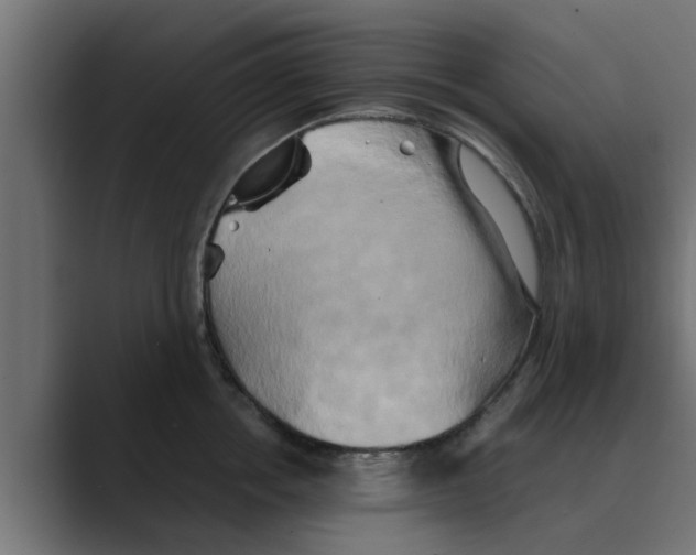 X0000088480858200706191405