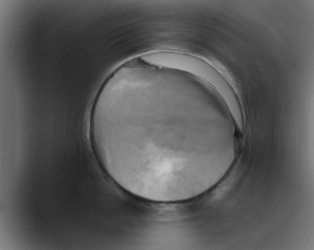 X0000088480862200706191405