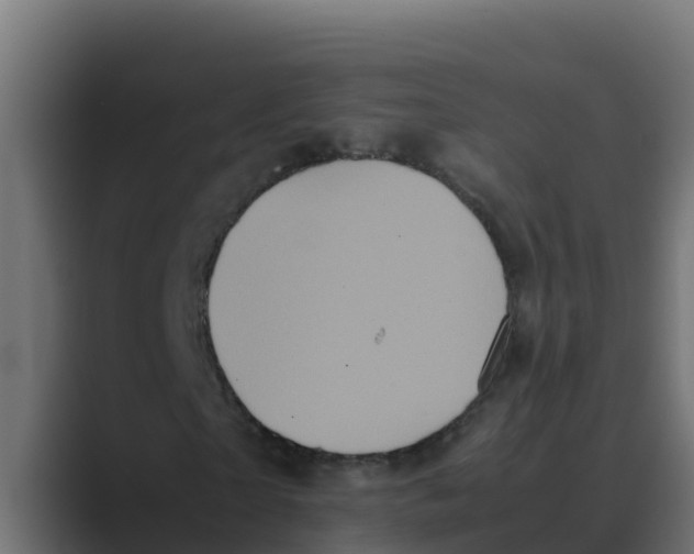 X0000088480865200706191405