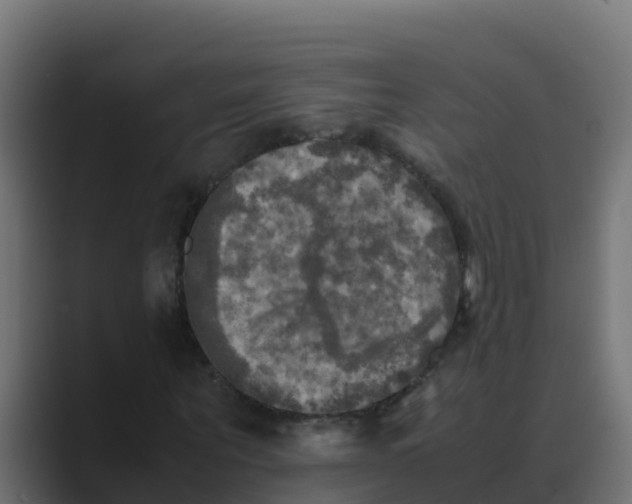 X0000088480867200706191405