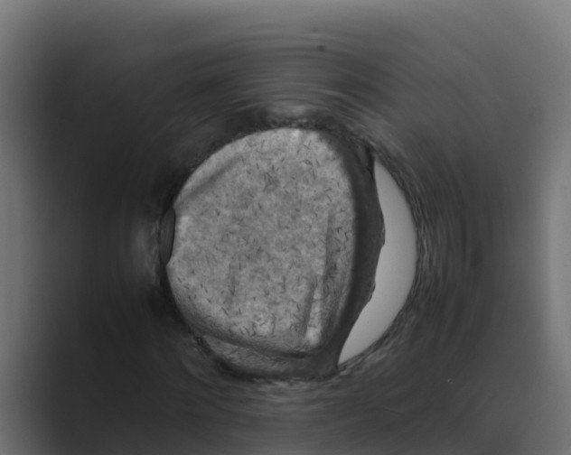 X0000088480868200706191405