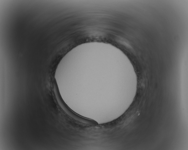 X0000088480869200706191405