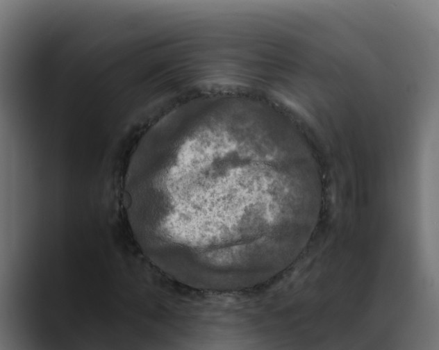 X0000088480870200706191405