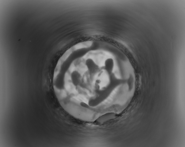 X0000088480871200706191405