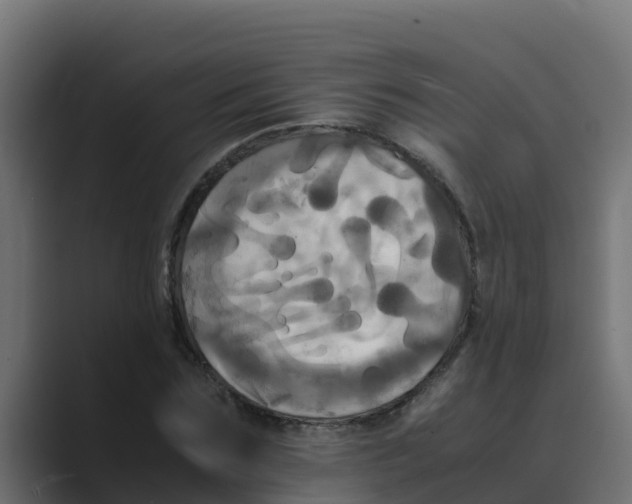 X0000088480875200706191405