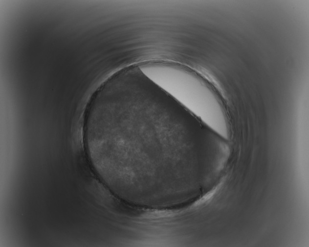 X0000088480877200706191405