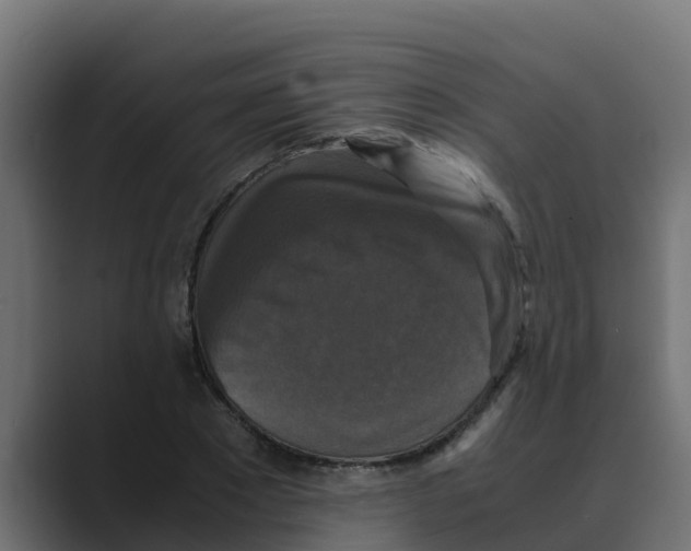 X0000088480881200706191405