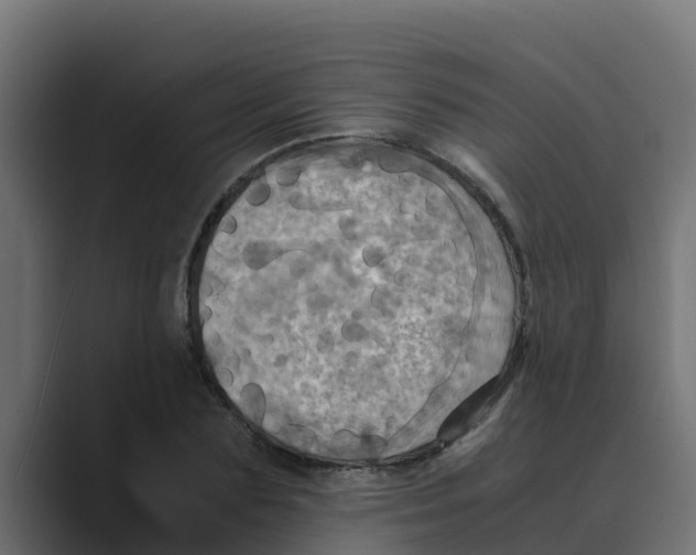 X0000088480883200706191404