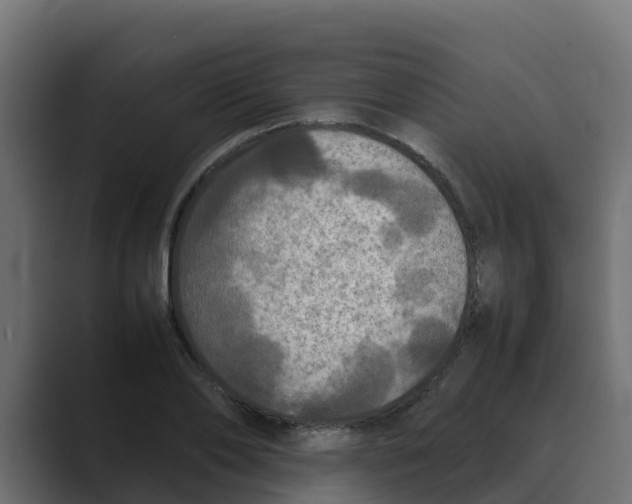 X0000088480886200706191404