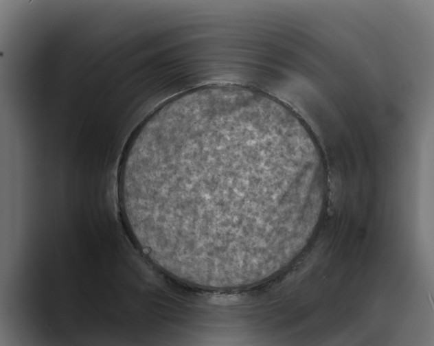 X0000088480890200706191404