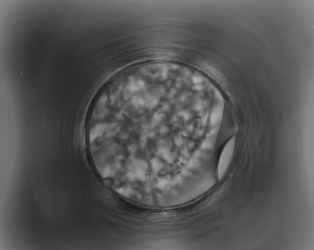 X0000088480891200706191404