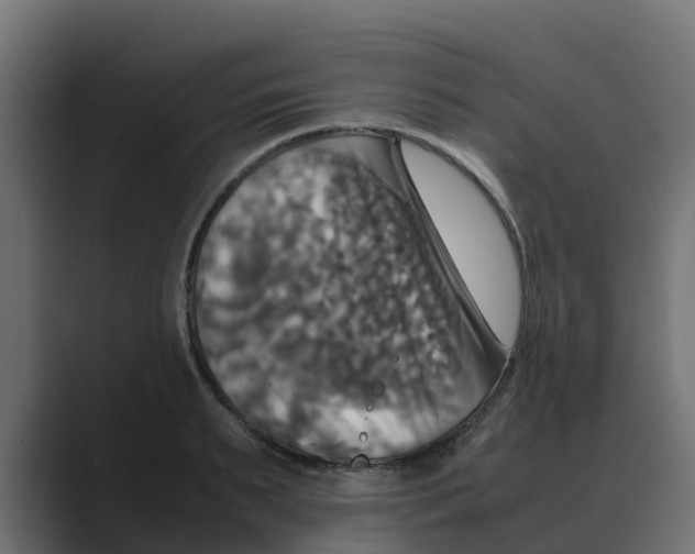 X0000088480895200706191404