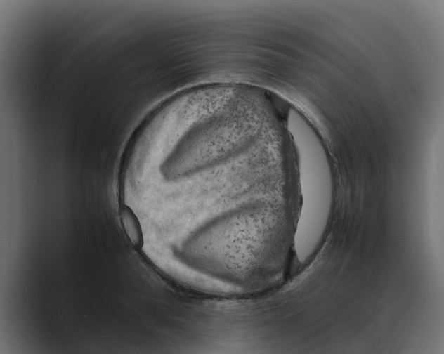 X0000088480896200706191404