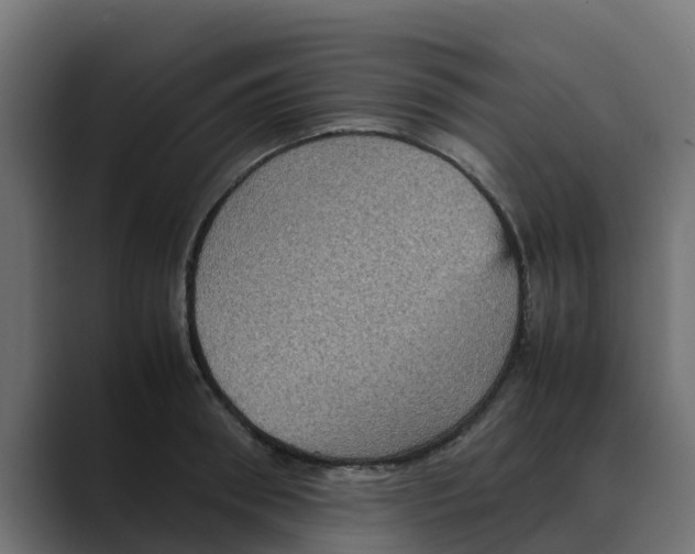 X0000088480898200706191404