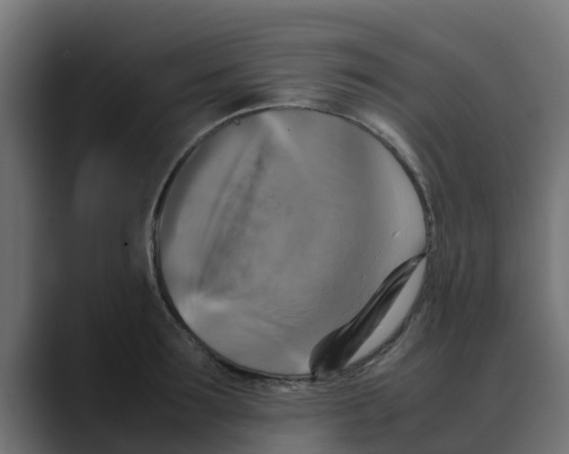 X0000088480899200706191404