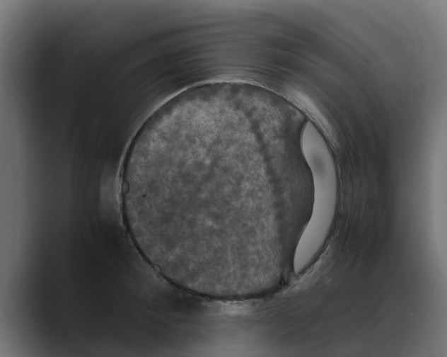 X0000088480900200706191404