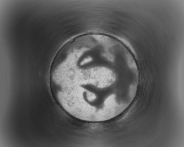 X0000088480903200706191404