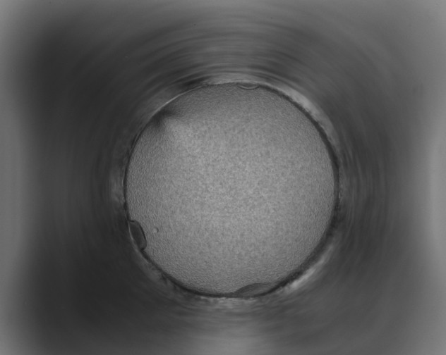 X0000088480905200706191404