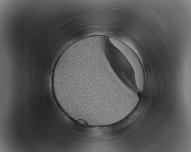 X0000088480906200706191404