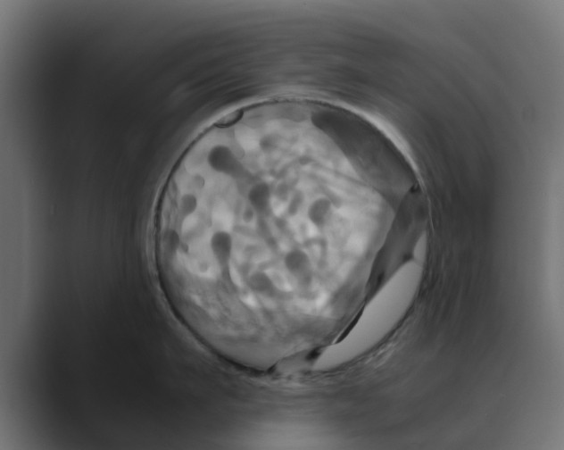 X0000088480911200706191404